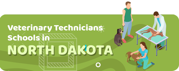 How to Become a Veterinary Technician in North Dakota