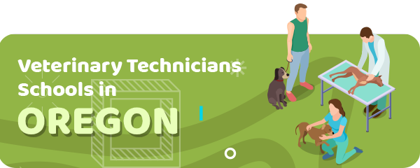 How to Become a Veterinary Technician in Oregon