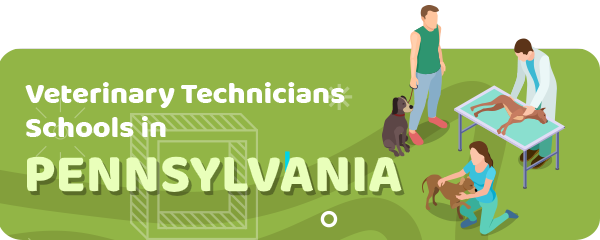 How to Become a Veterinary Technician in Pennsylvania