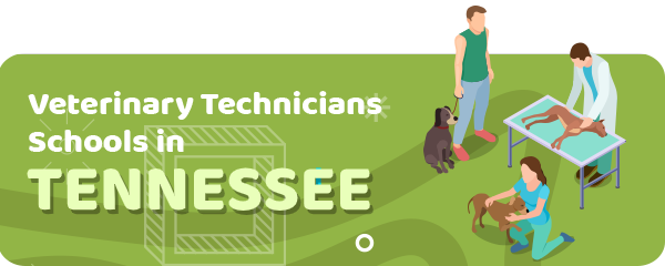 How to Become a Veterinary Technician in Tennessee
