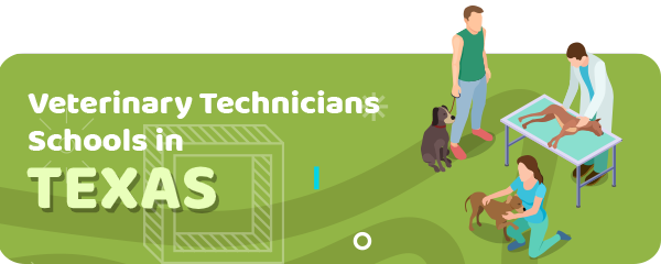 How to Become a Veterinary Technician in Texas