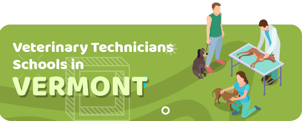 How to Become a Veterinary Technician in Vermont