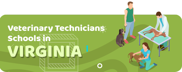 How to Become a Veterinary Technician in Virginia