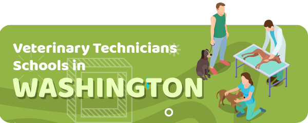 How to Become a Veterinary Technician in Washington