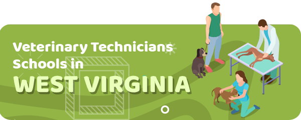 How to Become a Veterinary Technician in West Virginia