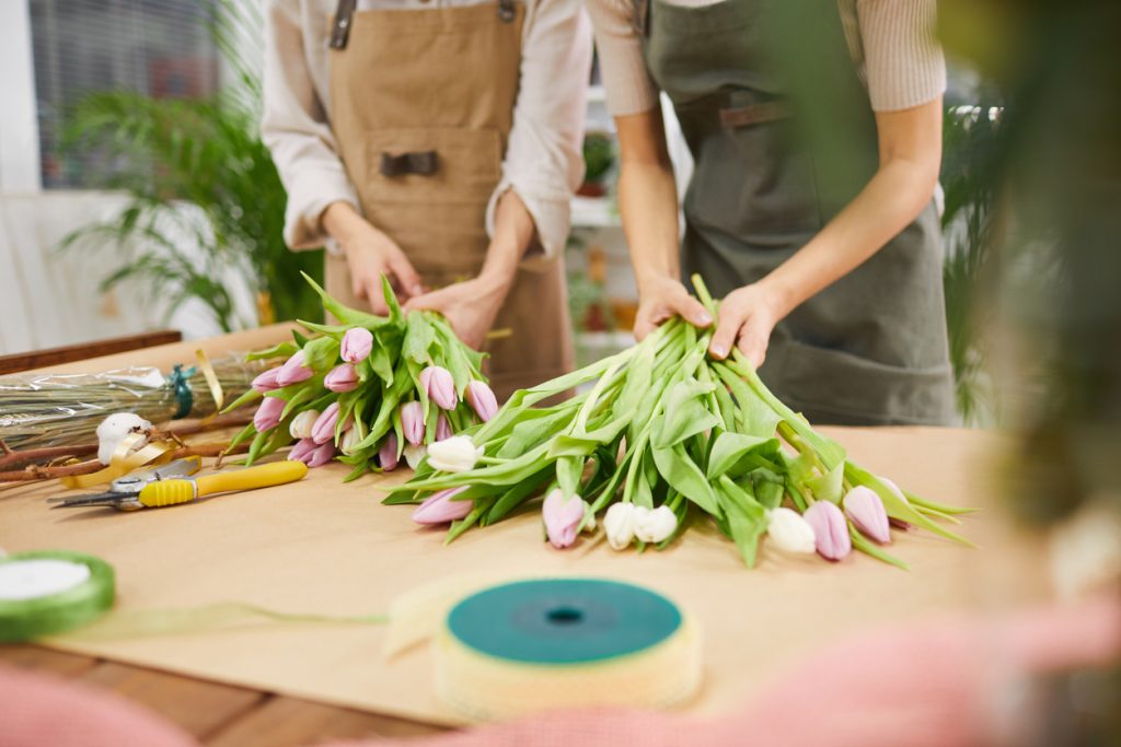 Tulips in Flower Shop