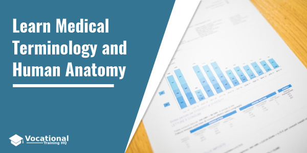 Learn Medical Terminology and Human Anatomy