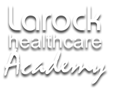 Larock Healthcare Academy - Columbus logo