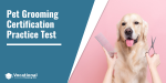 Grooming Certification For Pet Shop Owners