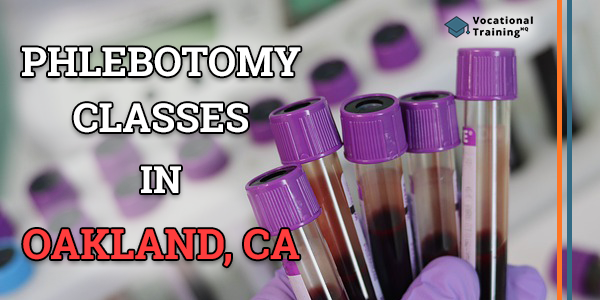 Phlebotomy Schools in Oakland, CA