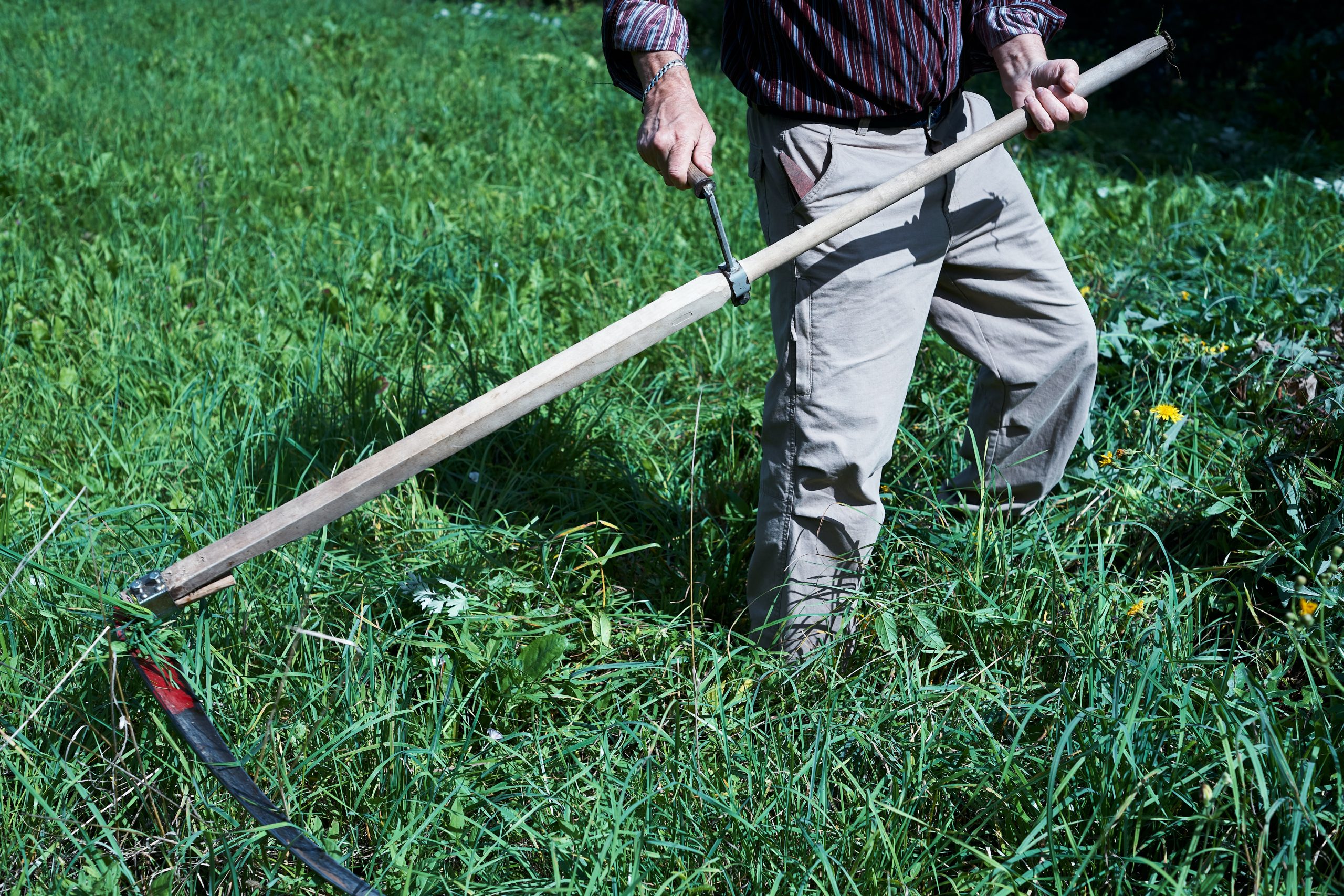 Landscaping Service