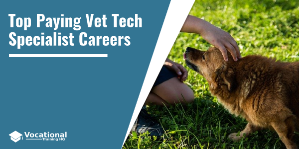Top Paying Vet Tech Specialist Careers