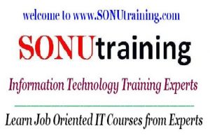 SONU Training logo