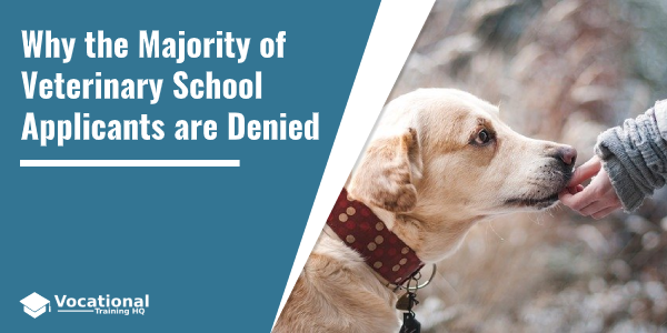Why the Majority of Veterinary School Applicants are Denied?
