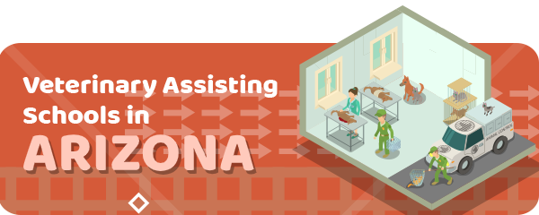 How To Become a Veterinary Assistant in Arizona