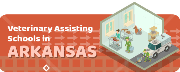 How To Become a Veterinary Assistant in Arkansas