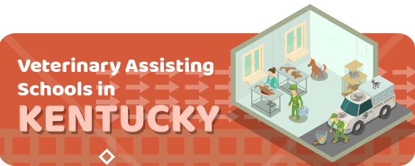 How to Become a Veterinary Assistant in Kentucky