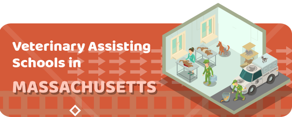 How to Become a Veterinary Assistant in Massachusetts