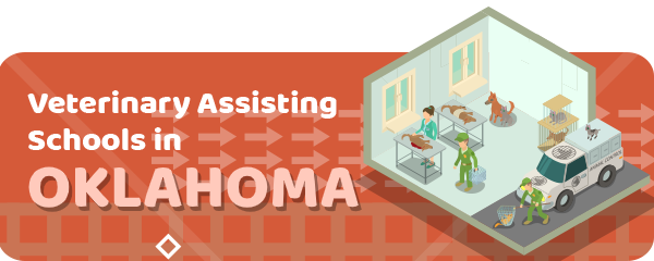How to Become a Veterinary Assistant in Oklahoma