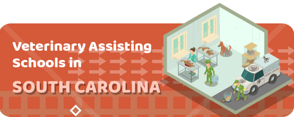 How to Become a Veterinary Assistant in South Carolina