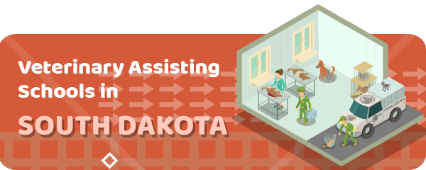 How to Become a Veterinary Assistant in South Dakota