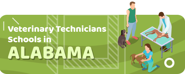 How to Become a Veterinary Technician in Alabama