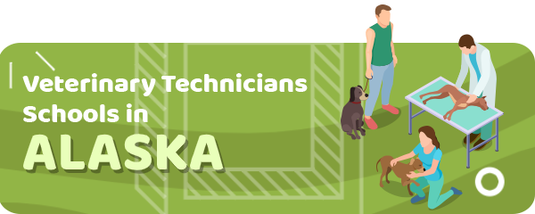 How to Become a Veterinary Technician in Alaska