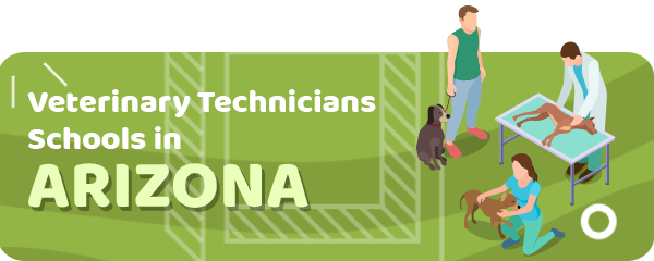 How to Become a Veterinary Technician in Arizona