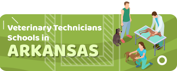 How to Become a Veterinary Technician in Arkansas
