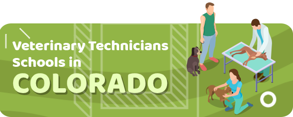 How to Become a Veterinary Technician in Colorado