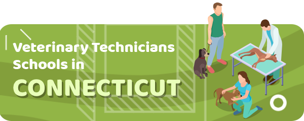 How to Become a Veterinary Technician in Connecticut