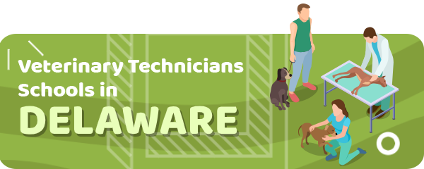 How to Become a Veterinary Technician in Delaware