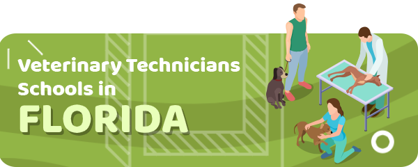 How to Become a Veterinary Technician in Florida