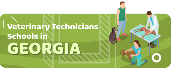 How to Become a Veterinary Technician in Georgia
