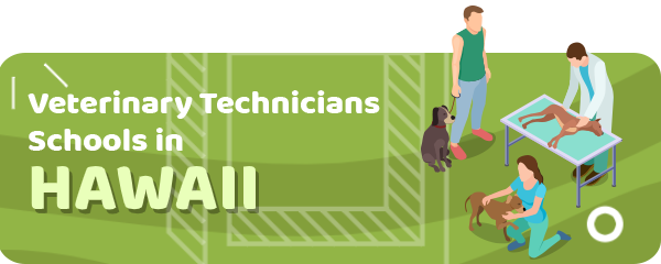 How to Become a Veterinary Technician in Hawaii