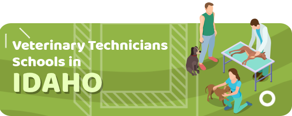How to Become a Veterinary Technician in Idaho
