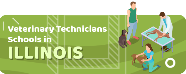 How to Become a Veterinary Technician in Illinois