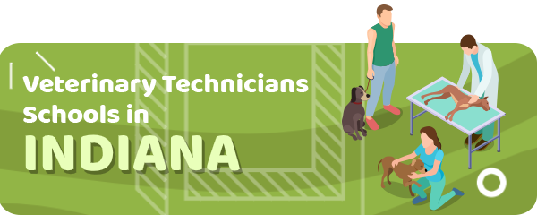 How to Become a Veterinary Technician in Indiana