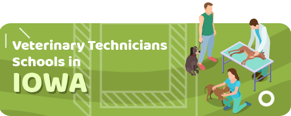 How to Become a Veterinary Technician in Iowa