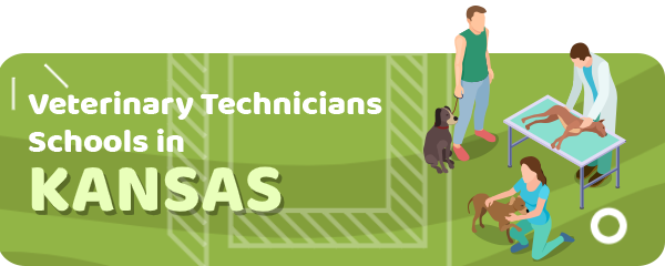 How to Become a Veterinary Technician in Kansas