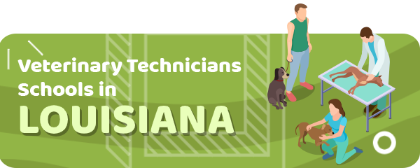 How to Become a Veterinary Technician in Louisiana