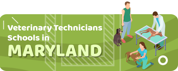 How to Become a Veterinary Technician in Maryland