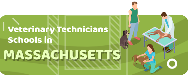 How to Become a Veterinary Technician in Massachusetts