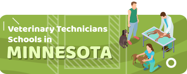 How to Become a Veterinary Technician in Minnesota