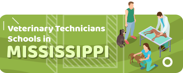 How to Become a Veterinary Technician in Mississippi
