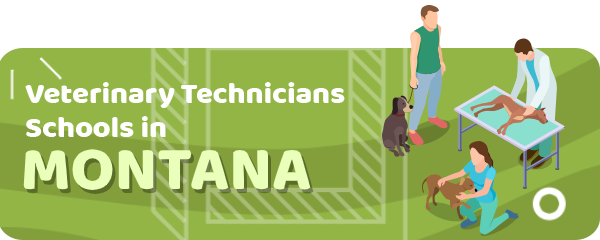 How to Become a Veterinary Technician in Montana