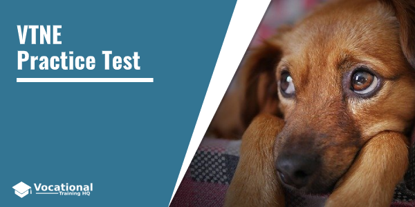 VTNE Practice Test (Veterinary Technician Exam)