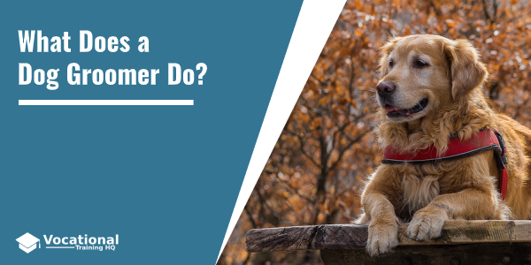 What Does a Dog Groomer Do?