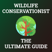 How to Become a Wildlife Conservationist